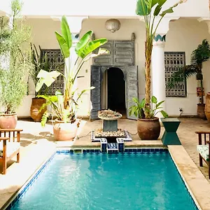 De Vinci & Hotel typu riad